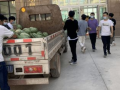 临县吃瓜事件最新爆料新闻,最新爆料揭露惊人内幕