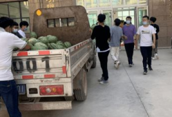 临县吃瓜事件最新爆料新闻,最新爆料揭露惊人内幕